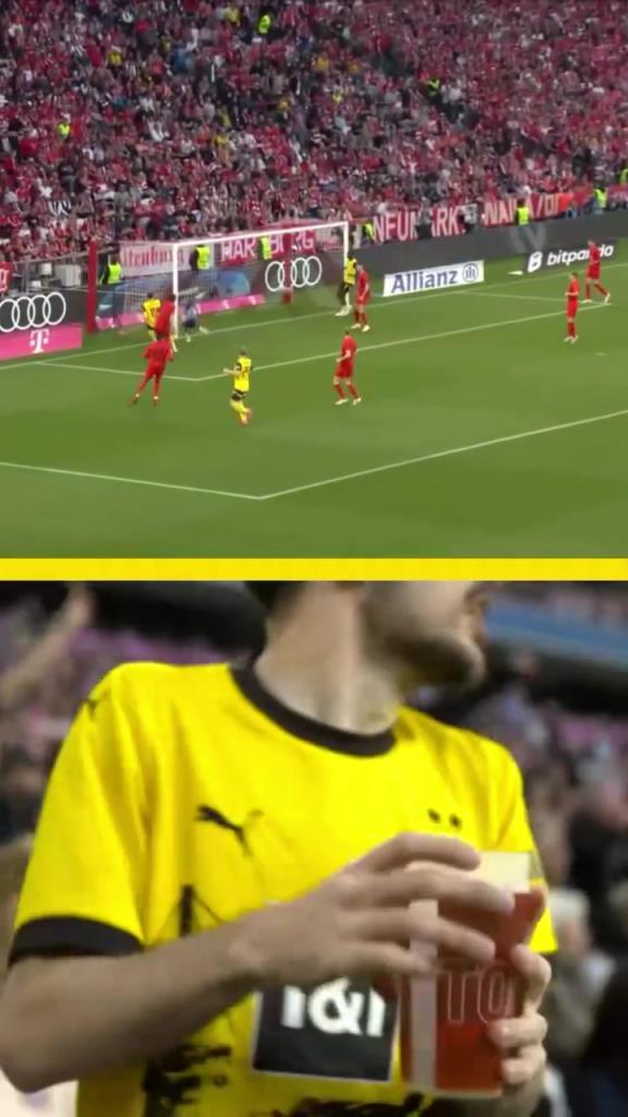 勇者無(wú)懼！這是真多特球迷！在拜仁球迷區(qū)一個(gè)人肆意慶祝！